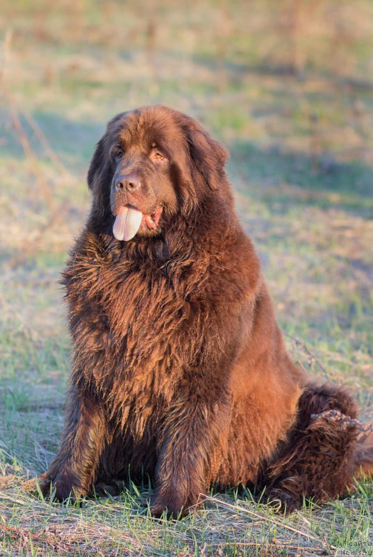 Фотография № 206550