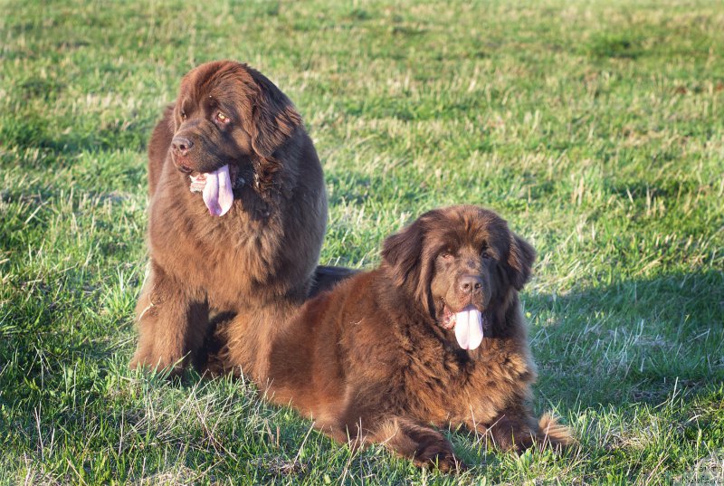 Фотография № 206555