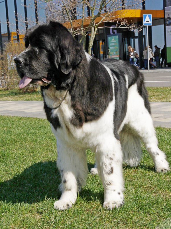 Фотография № 206558