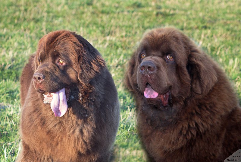 Фотография № 206578