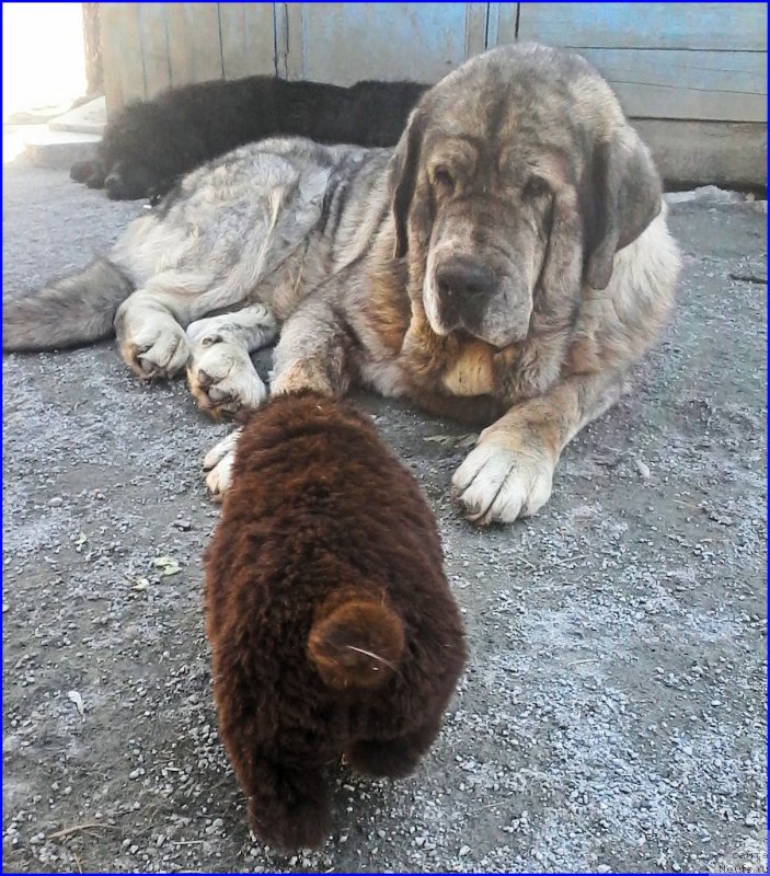 Фото: [d13526]+[d11539]