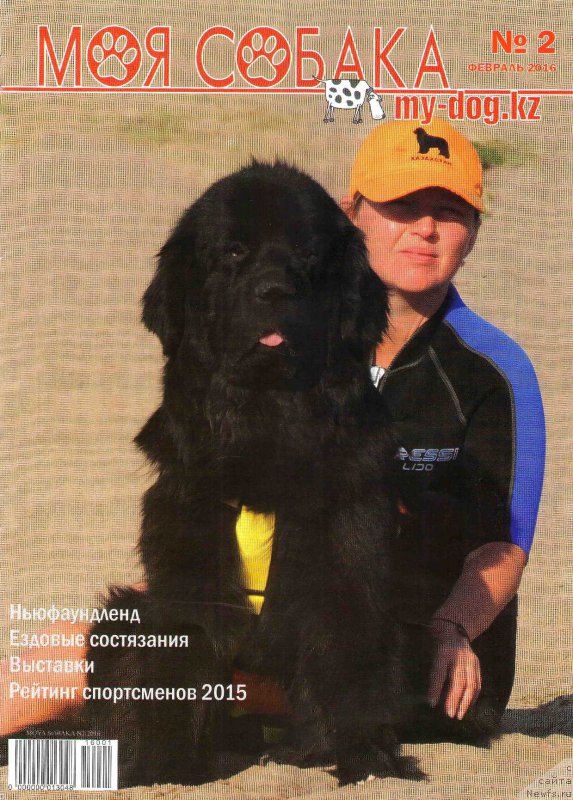 Фото: ньюфаундленд Bi Perfekt Arabella (Би Перфект Арабелла), Irina Pavlova (Ирина Павлова)