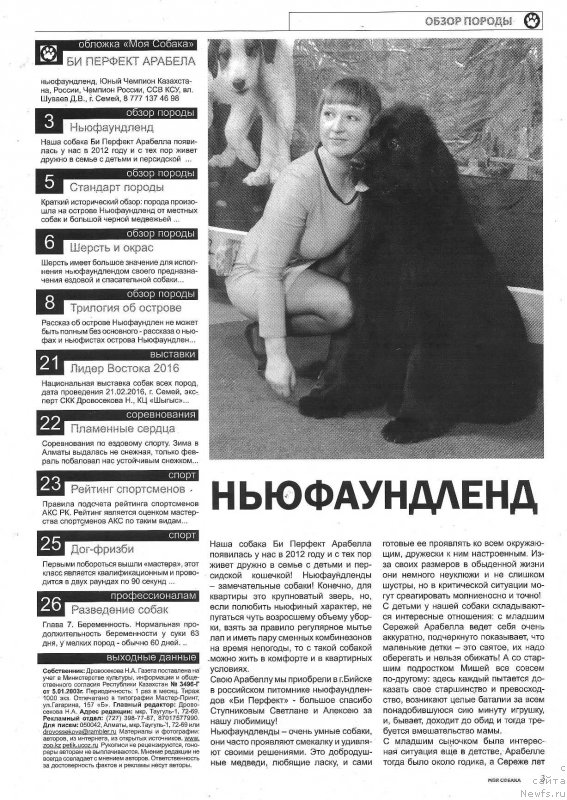 Фото: ньюфаундленд Bi Perfekt Arabella (Би Перфект Арабелла), Irina Pavlova (Ирина Павлова)