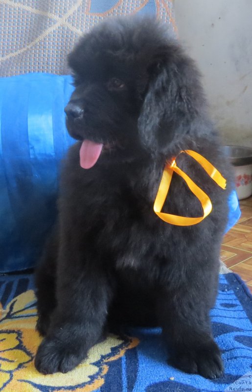 Фото: Ekaterina Igoshina (Екатерина Игошина)