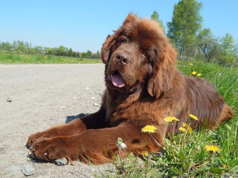 Фотография № 206608