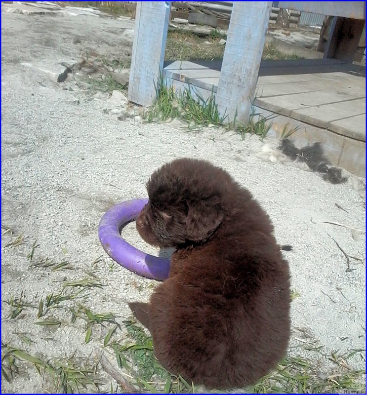 Фотография № 206618