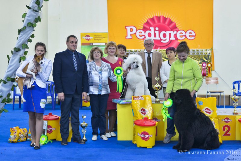 Фотография № 206636