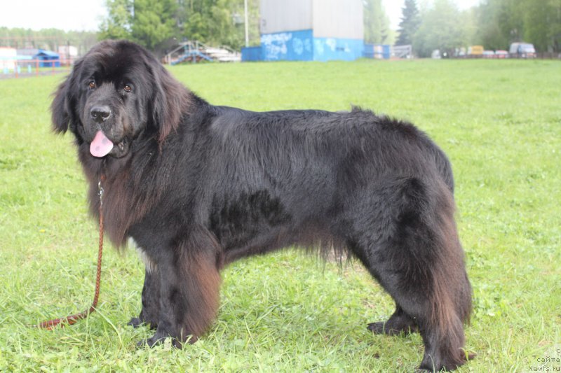 Фотография № 206637