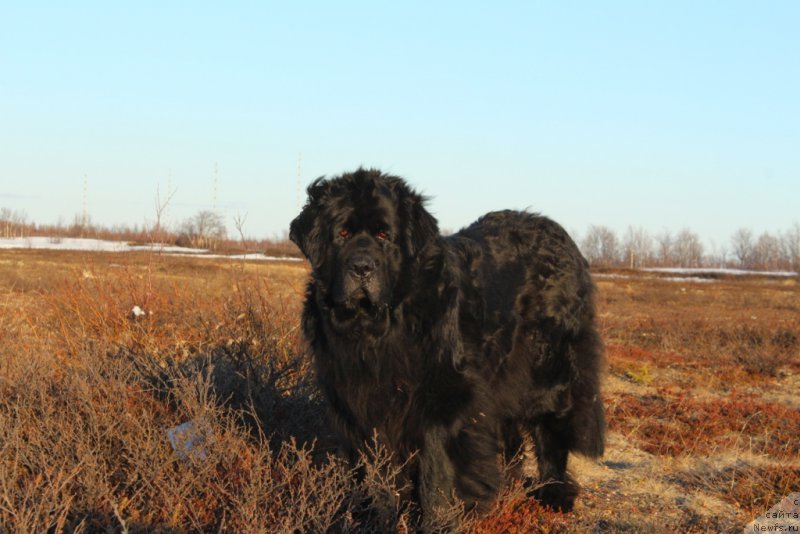 Фотография № 206653