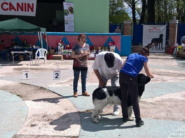 Фотография № 206695