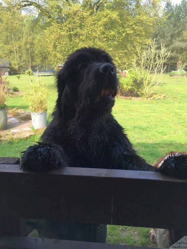 Фотография № 206699