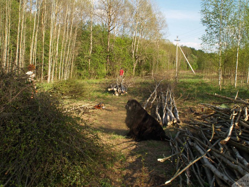 Фотография № 206767