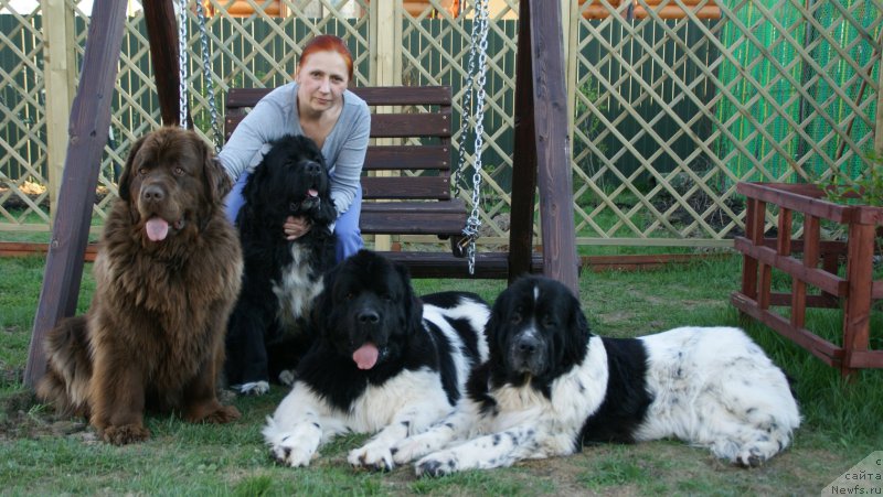 Фото: Elena Gambaryan (Елена Гамбарян), ньюфаундленд Van Len Taym Jenev'eva (Ван Лен Тайм Женевьева), ньюфаундленд Akvian Song Ledi In Blyek (Аквиан Сонг Леди Ин Блэк), ньюфаундленд Super Bizon Maestro (Супер Бизон Маэстро), ньюфаундленд Sent Djons Viva Viktoria (Сент Джонс Вива Виктория)