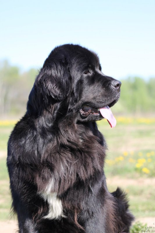 Фотография № 206794