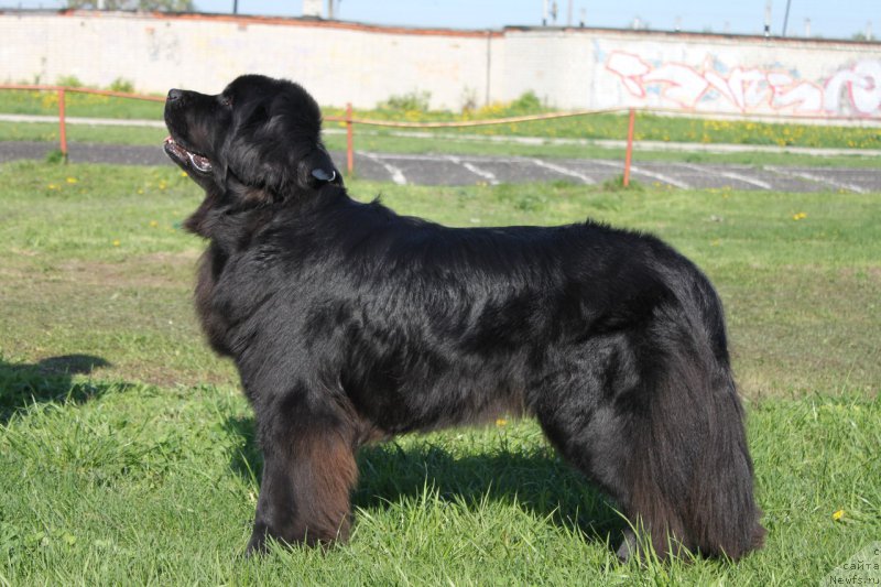 Фотография № 206795