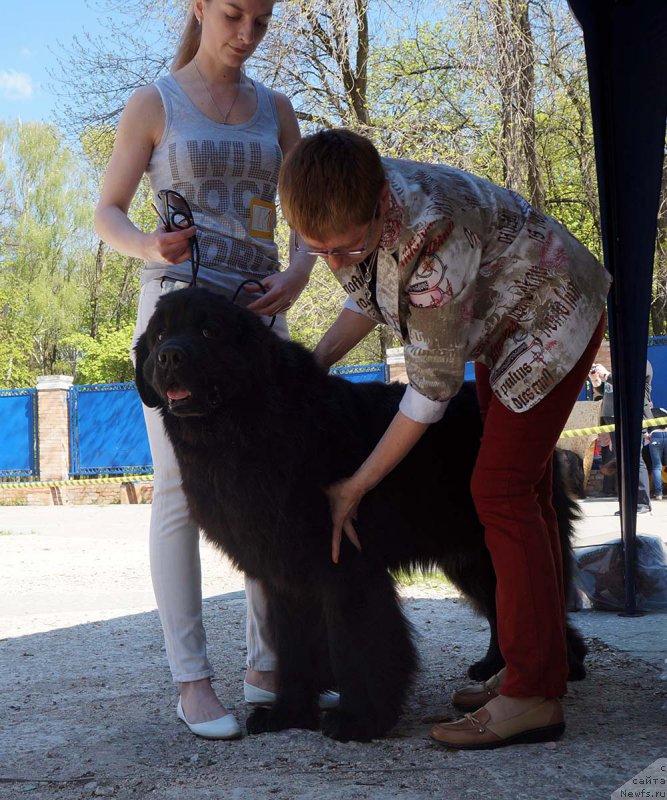 Фотография № 206804