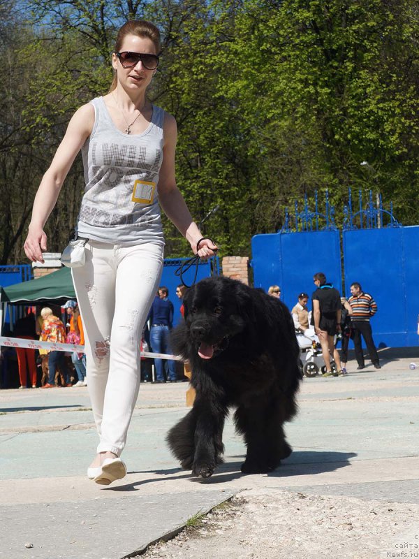 Фотография № 206805