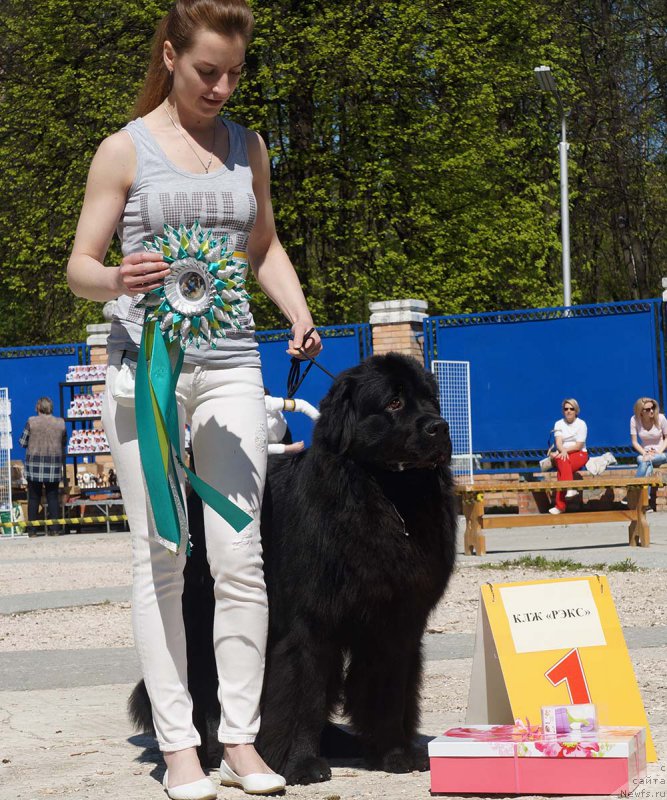 Фотография № 206812