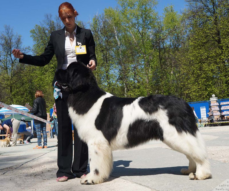 Фотография № 206815