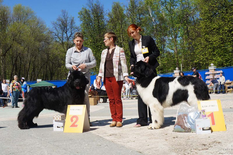 Фотография № 206818