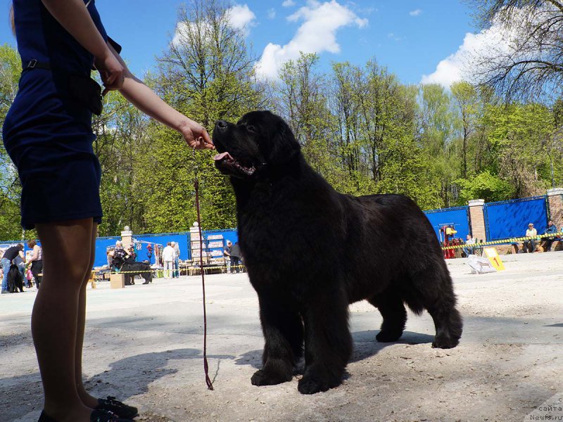 Фотография № 206855