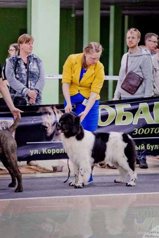 Фотография № 206861