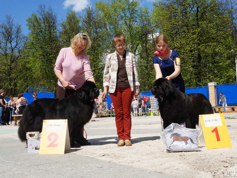 Фотография № 206863