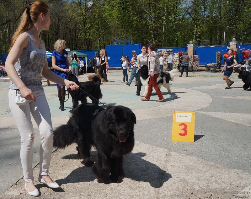 Фотография № 206868