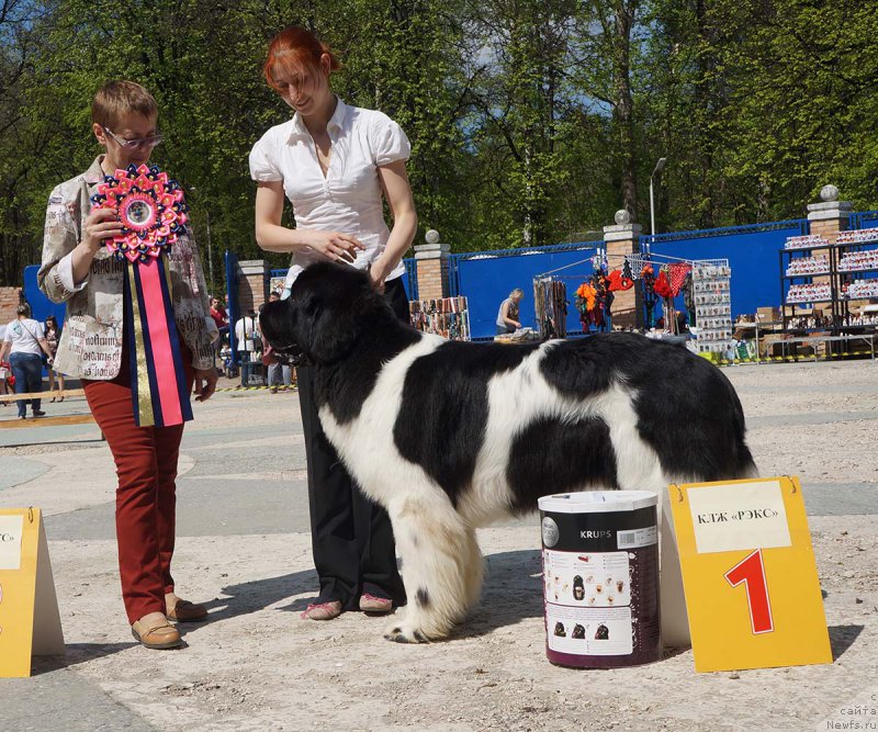 Фотография № 206869