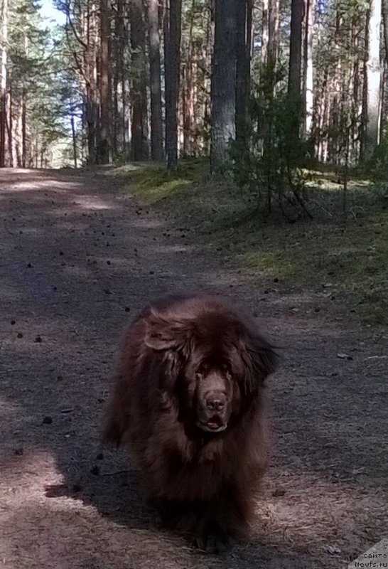 Фотография № 206873