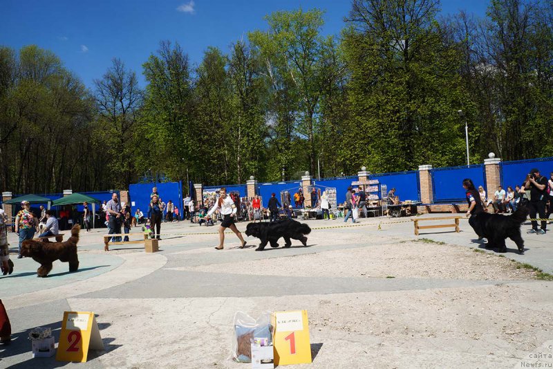 Фотография № 206874