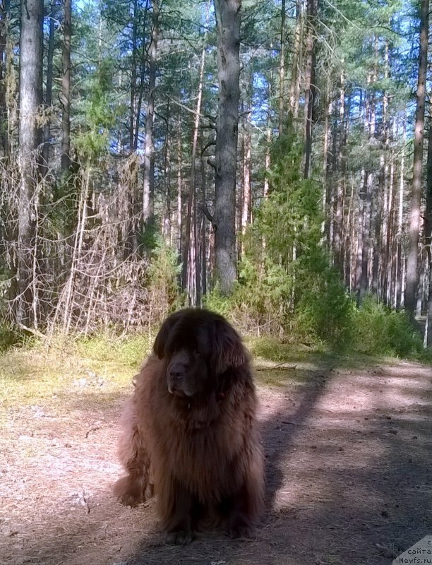 Фотография № 206876