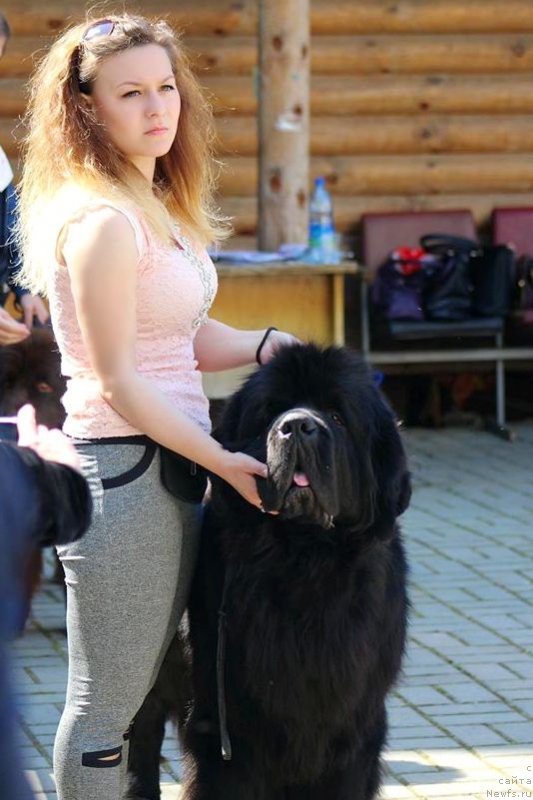 Фотография № 206910