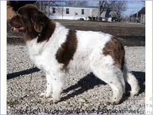 Фотография № 20692