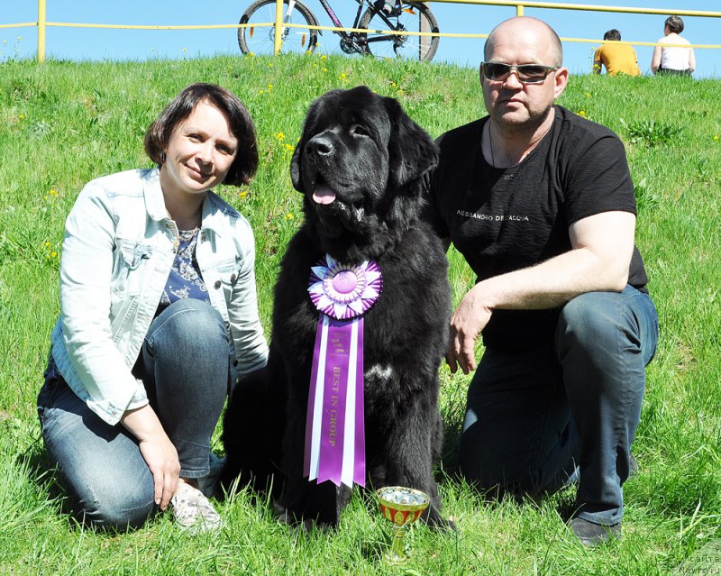 Фотография № 206923