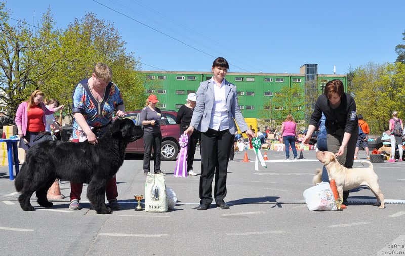 Фотография № 206925