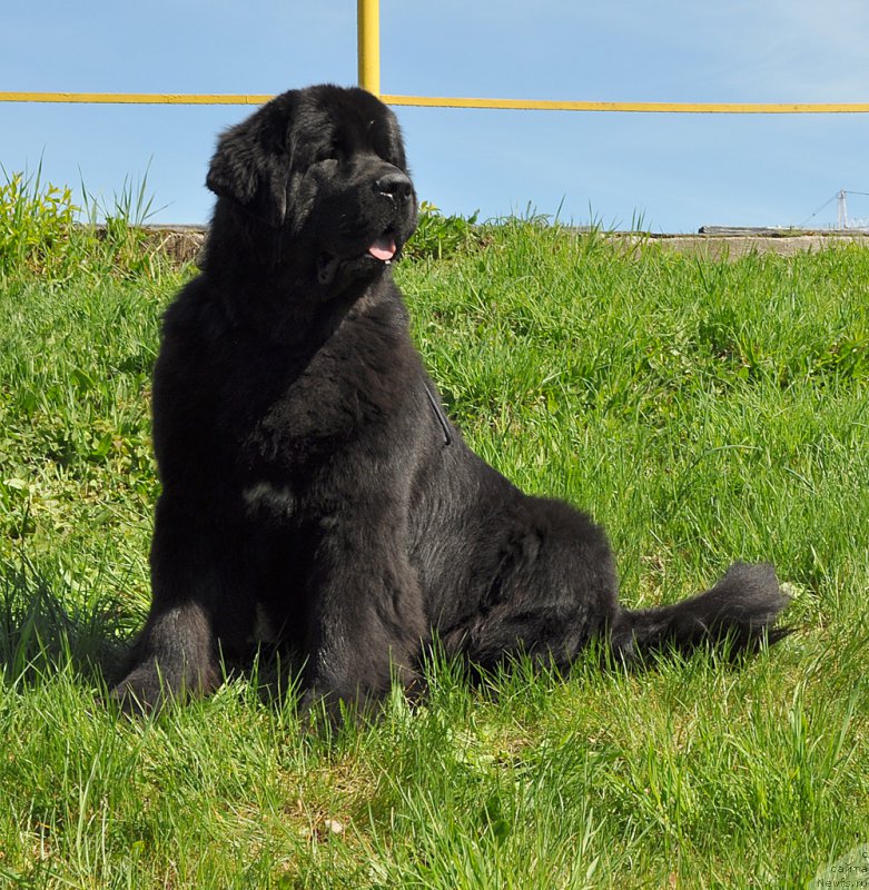 Фотография № 206930