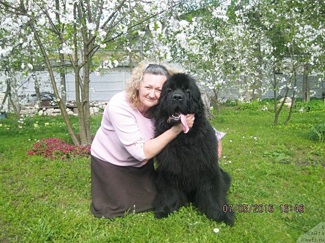 Фотография № 206932