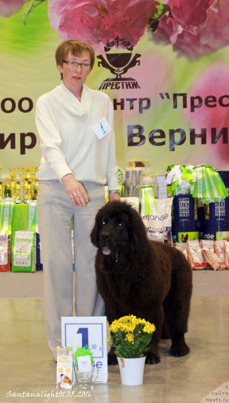 Фотография № 206933