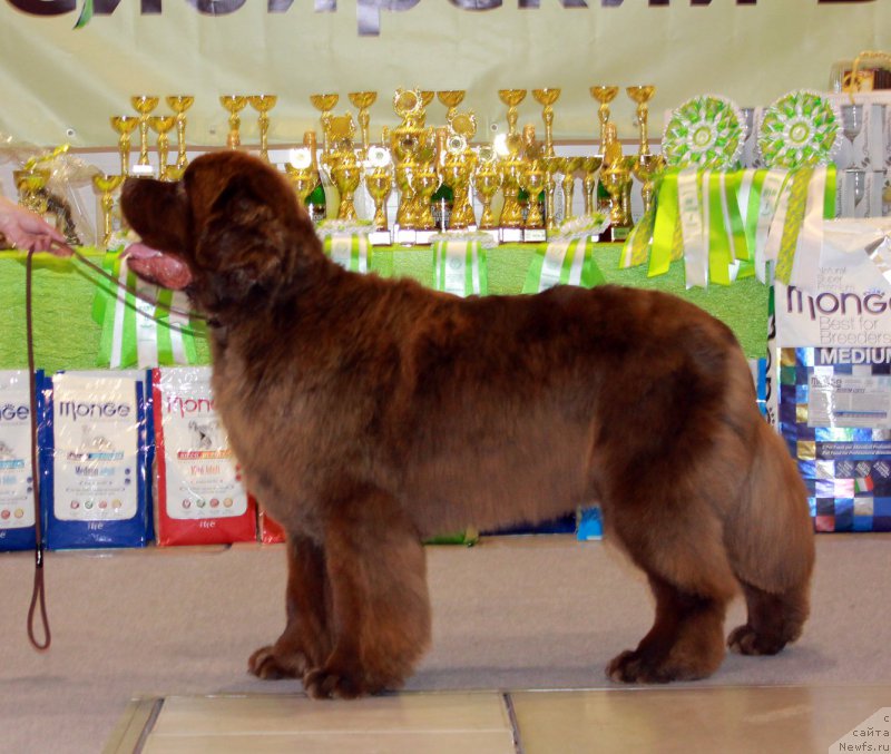 Фотография № 206935