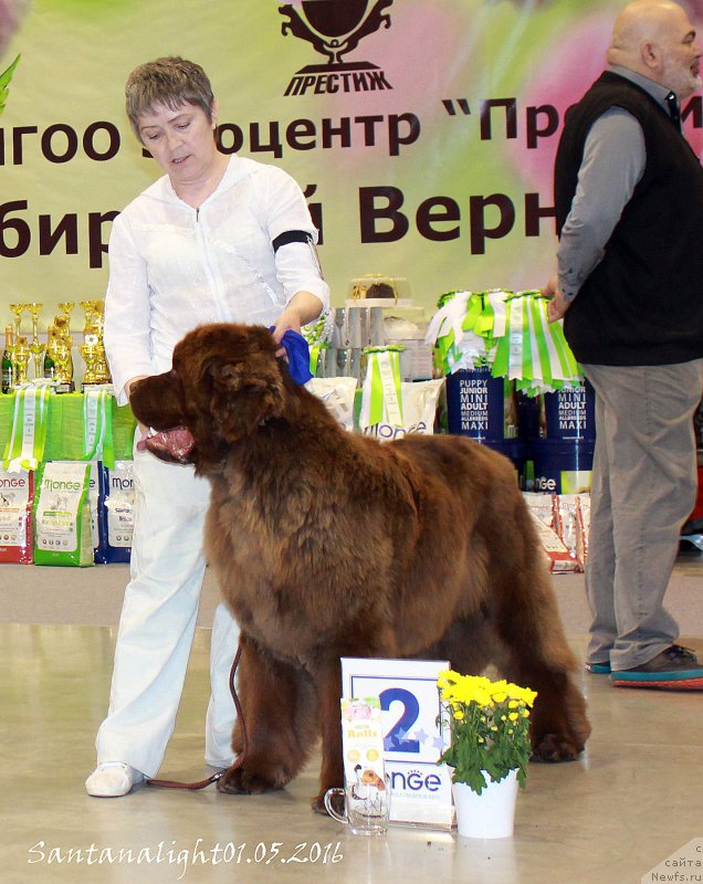 Фотография № 206937