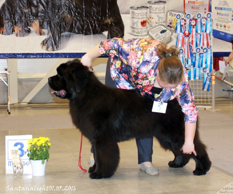 Фотография № 206940