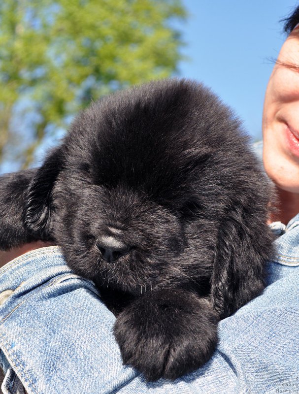 Фотография № 206943