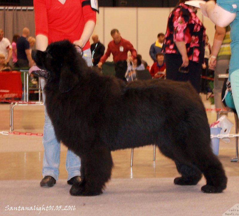 Фотография № 206945