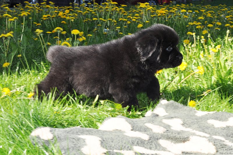 Фотография № 206948