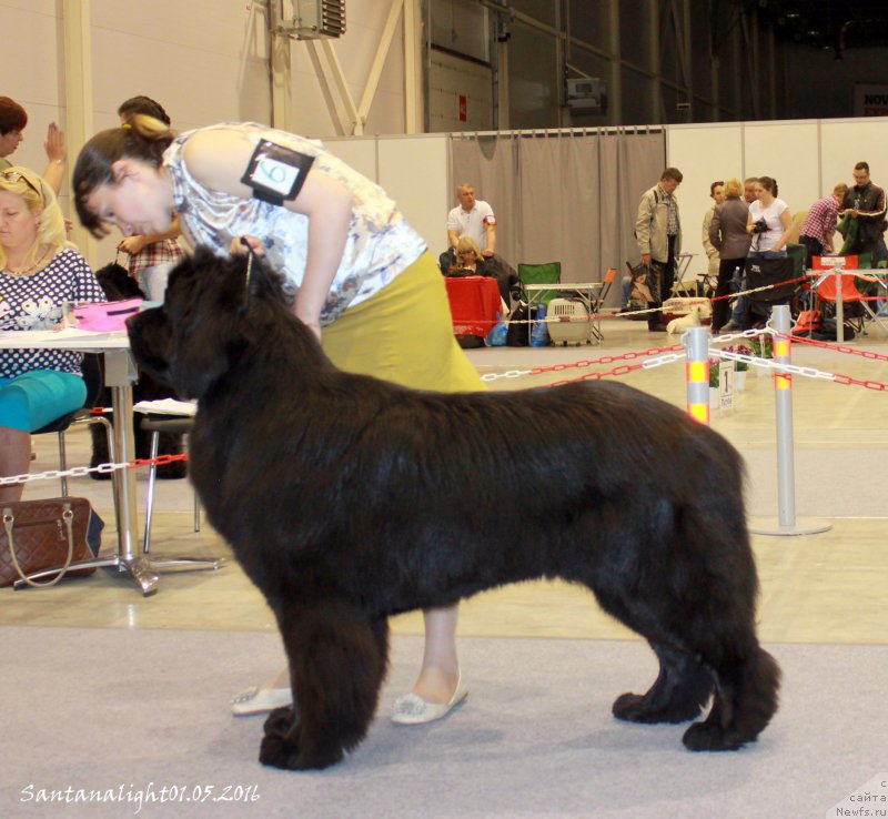 Фотография № 206950