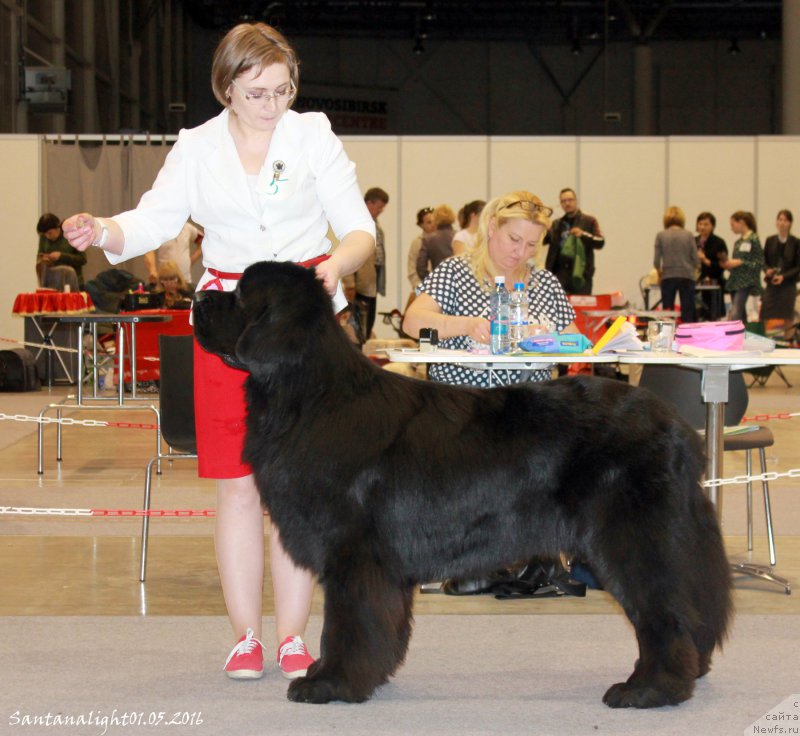 Фотография № 206951