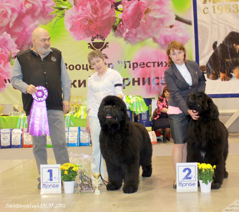 Фотография № 206972