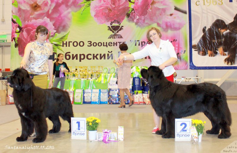 Фотография № 206978