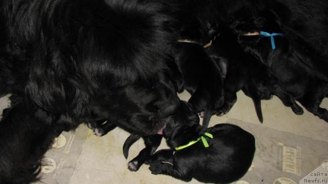 Фото: [d6666]с детьми